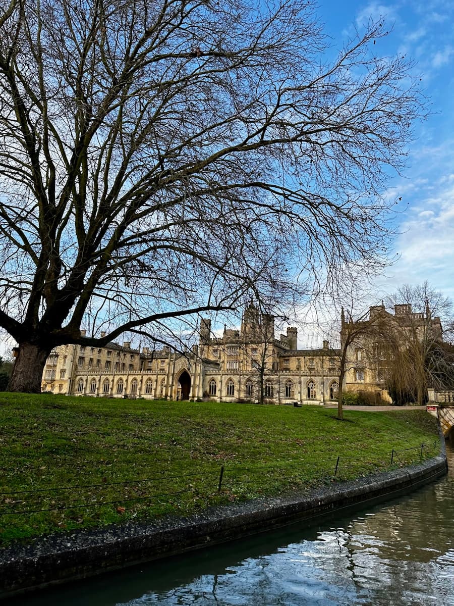 Cambridge: The Federation on the ground