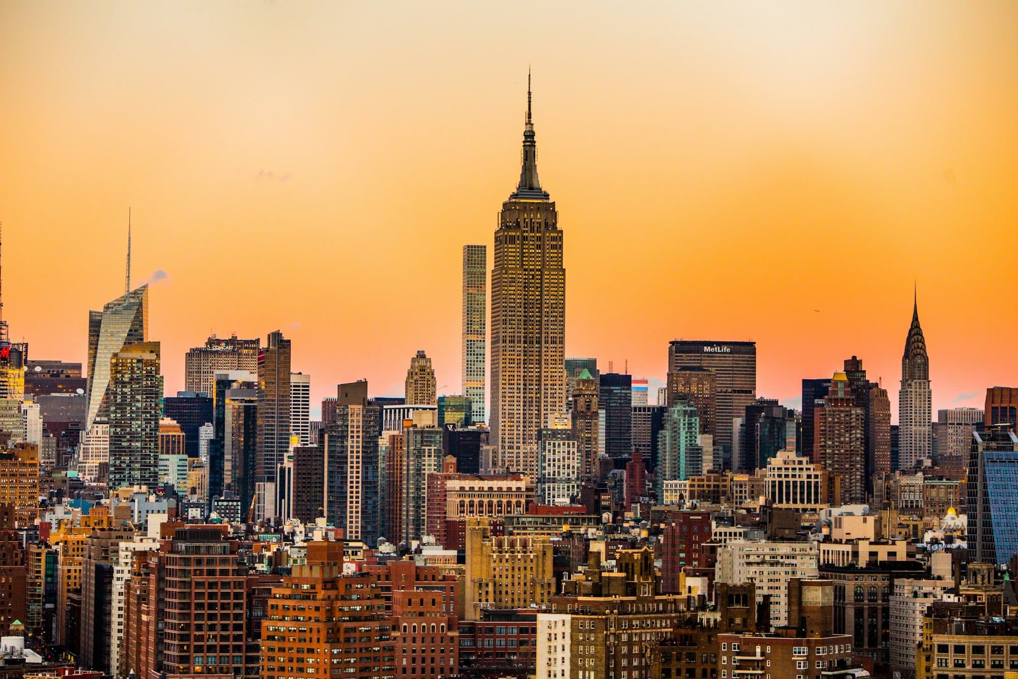 New York: The Federation on the ground