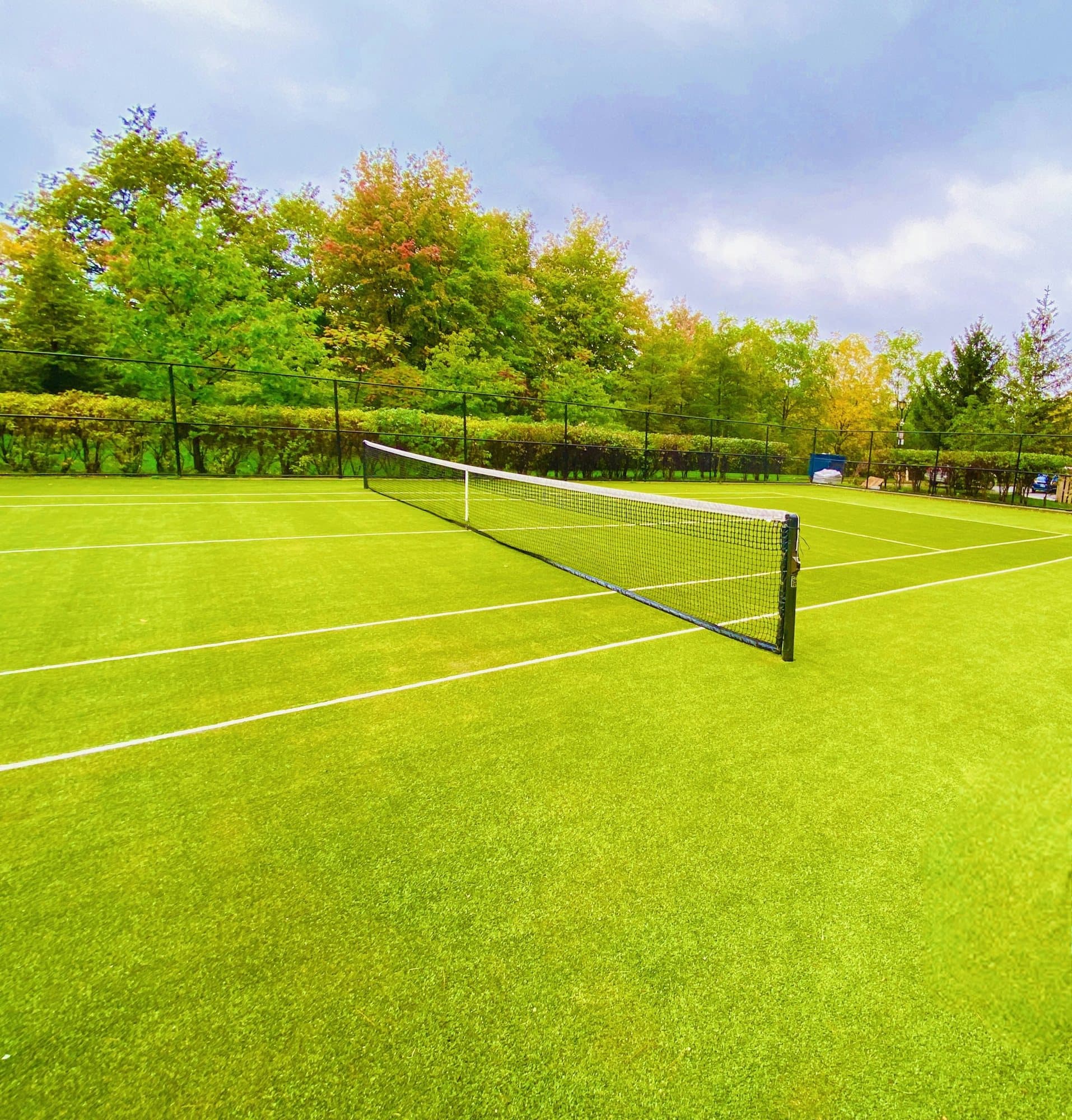 Wimbledon: The Federation on the ground